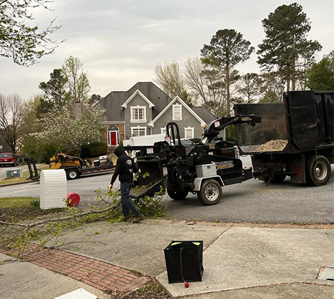 Gonzalez Tree Experts Image